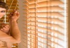 Alison NSWvenetian-blinds-2.jpg; ?>